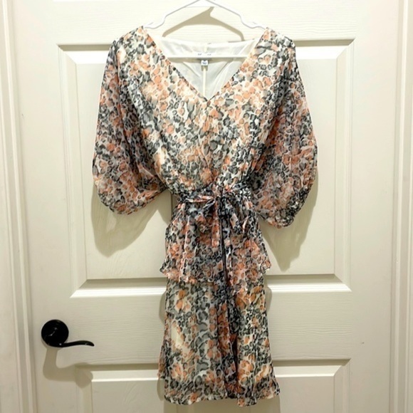 She & Sky V-Neck Coral and Gray Leopard Print Dress - Picture 2 of 8